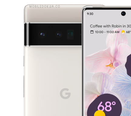New Google Pixel 6 Pro